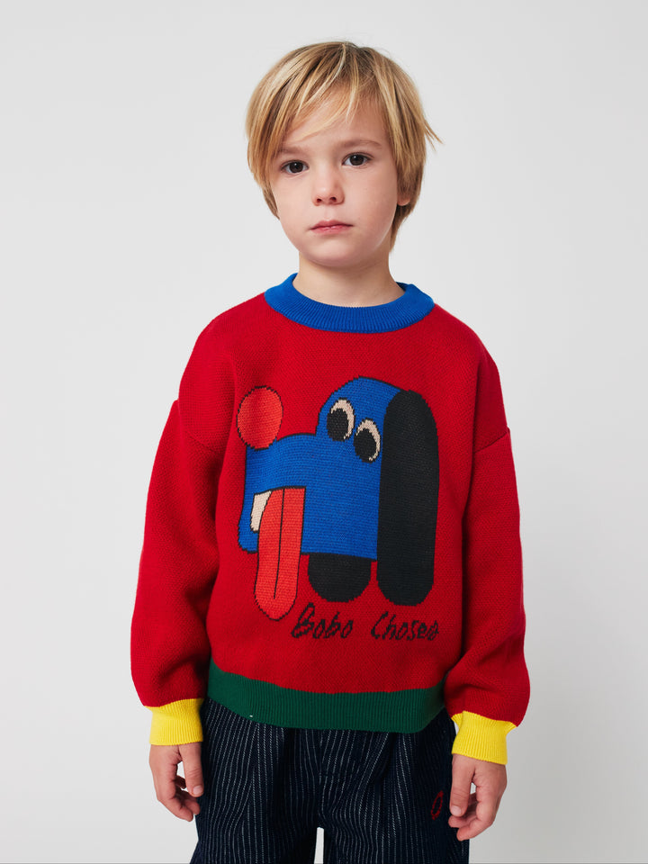 Doggy Mate jacquard knit