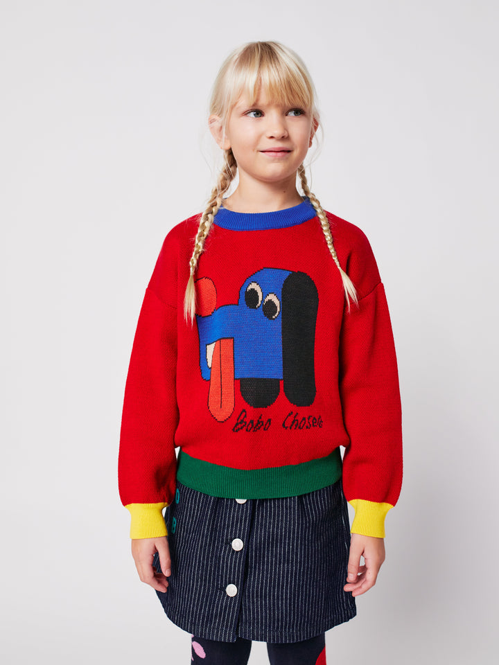 Doggy Mate jacquard knit