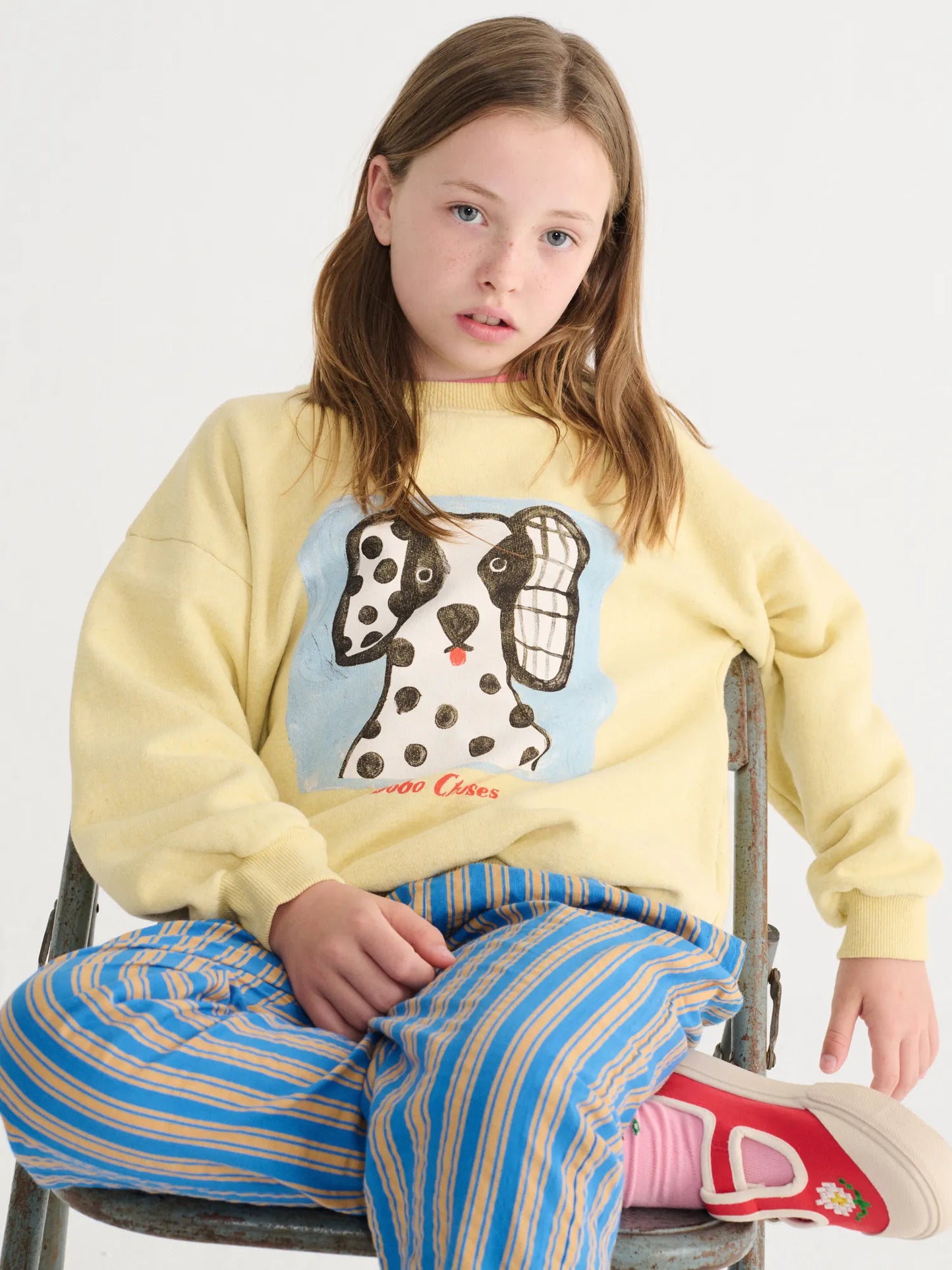Van Dog sweatshirt