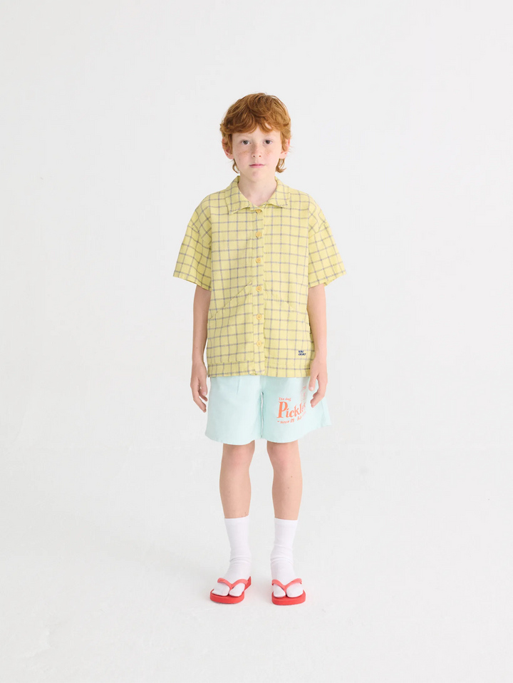 Spicy Window Pane woven shirt