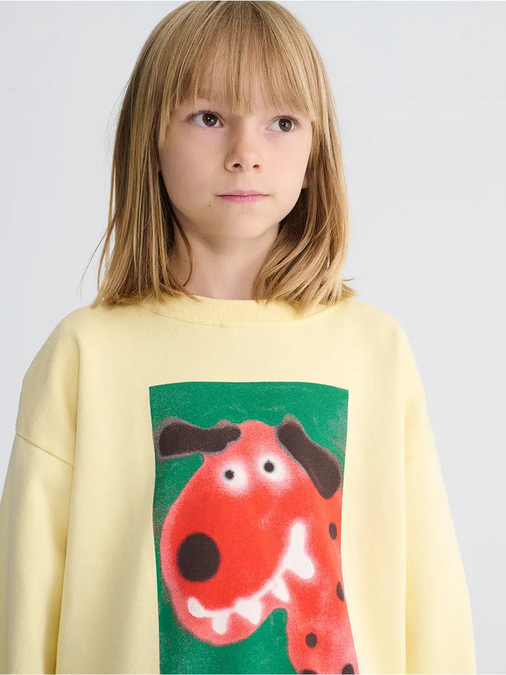 Dog sweatshirt