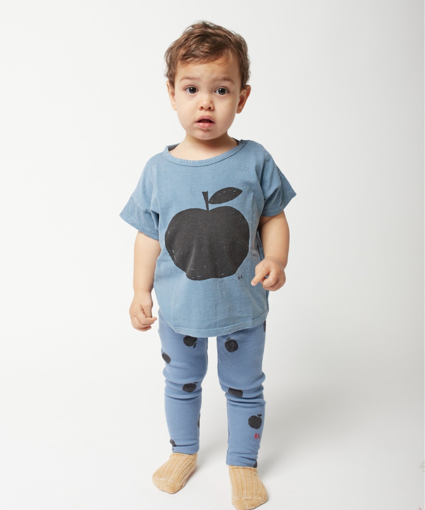 ポマブルーTシャツ