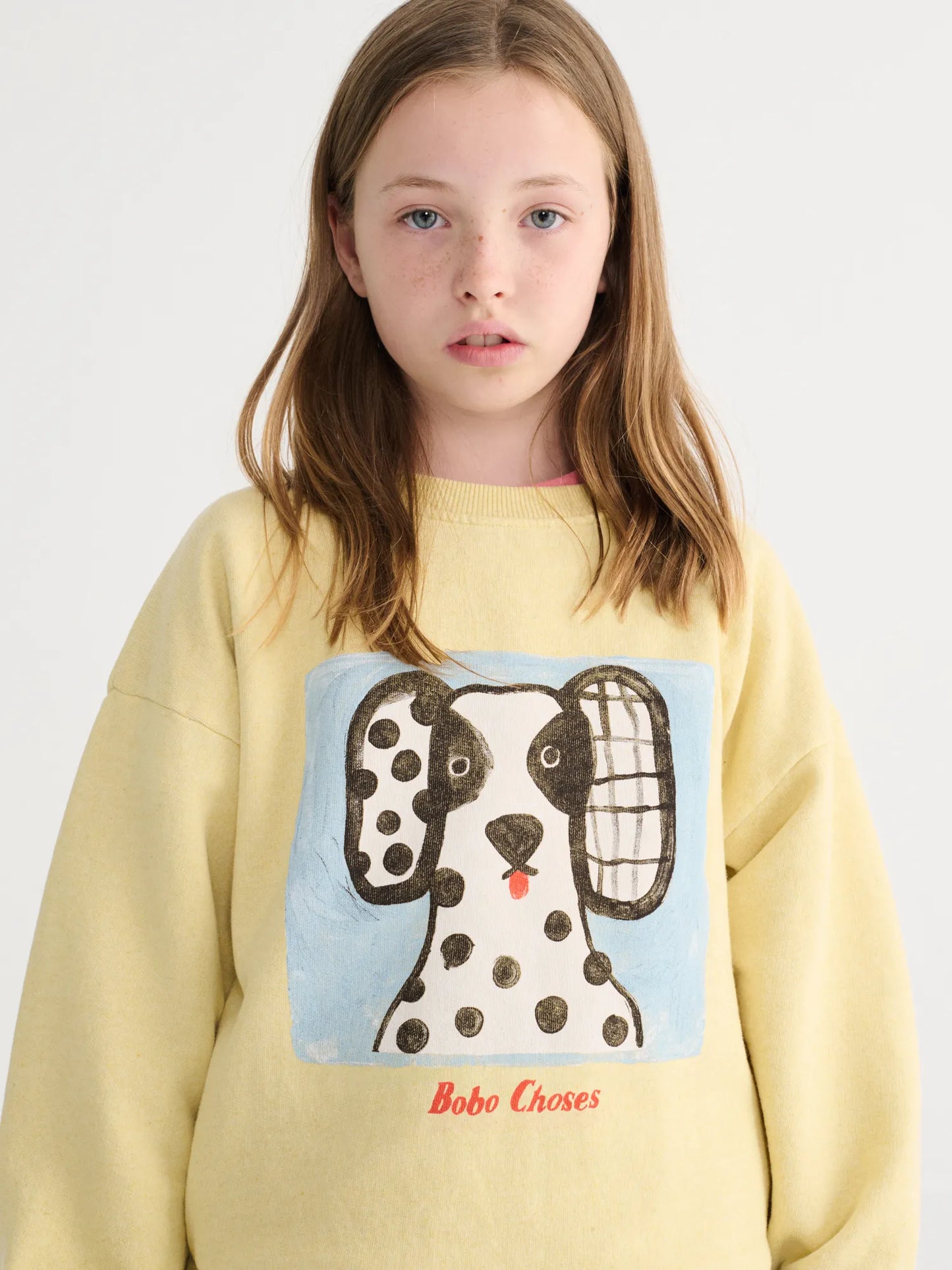 Van Dog sweatshirt