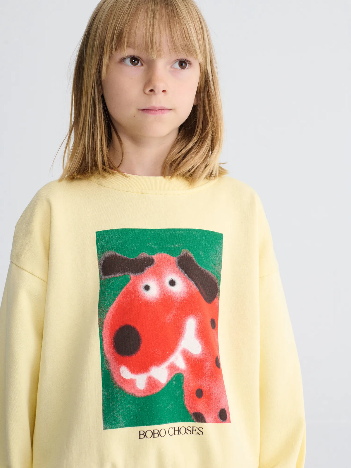 Dog sweatshirt
