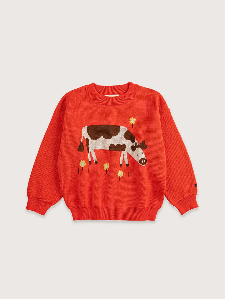 Farm Adventure jumper