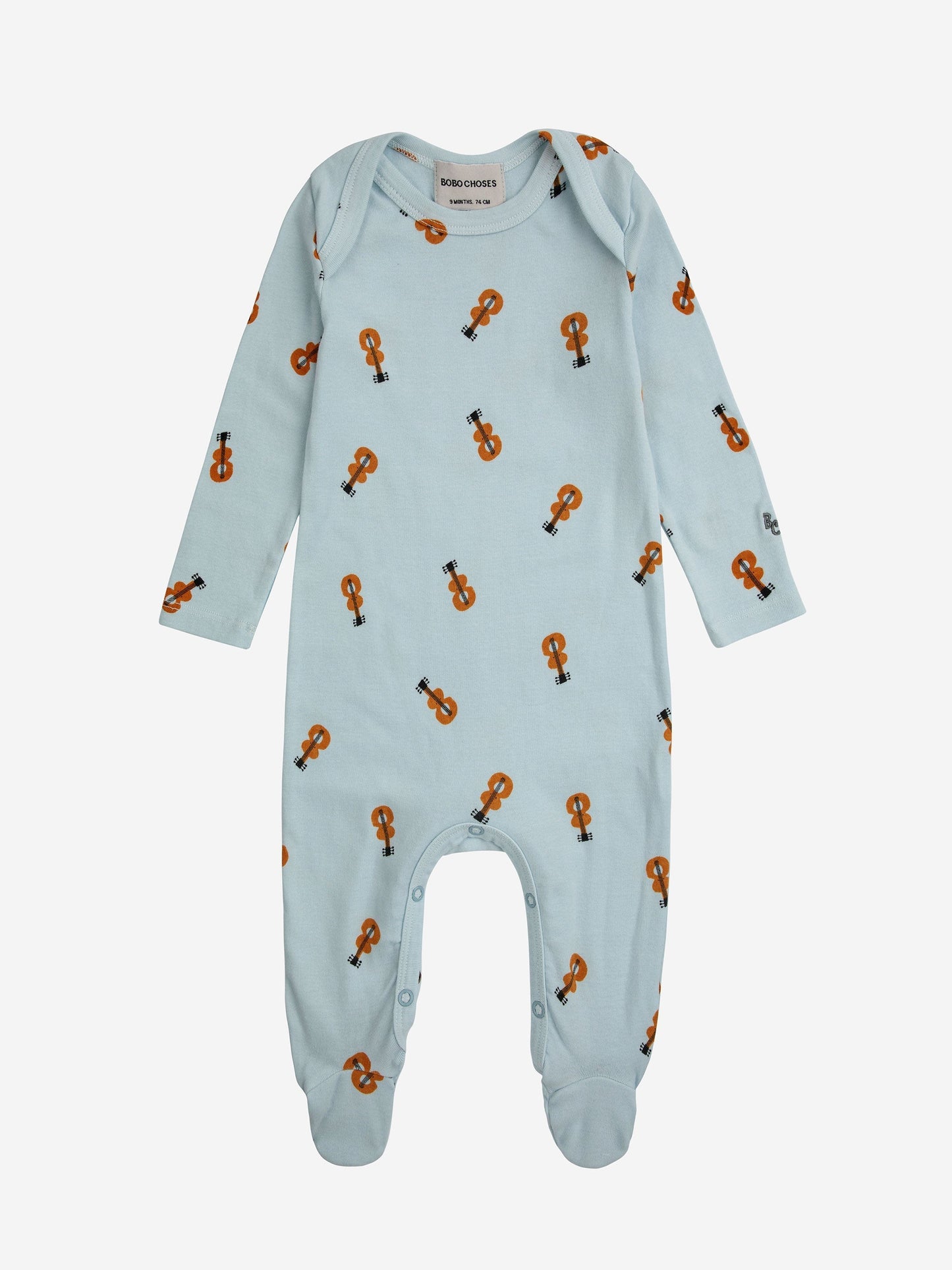 アコースティックギター全体とヴィシーパック