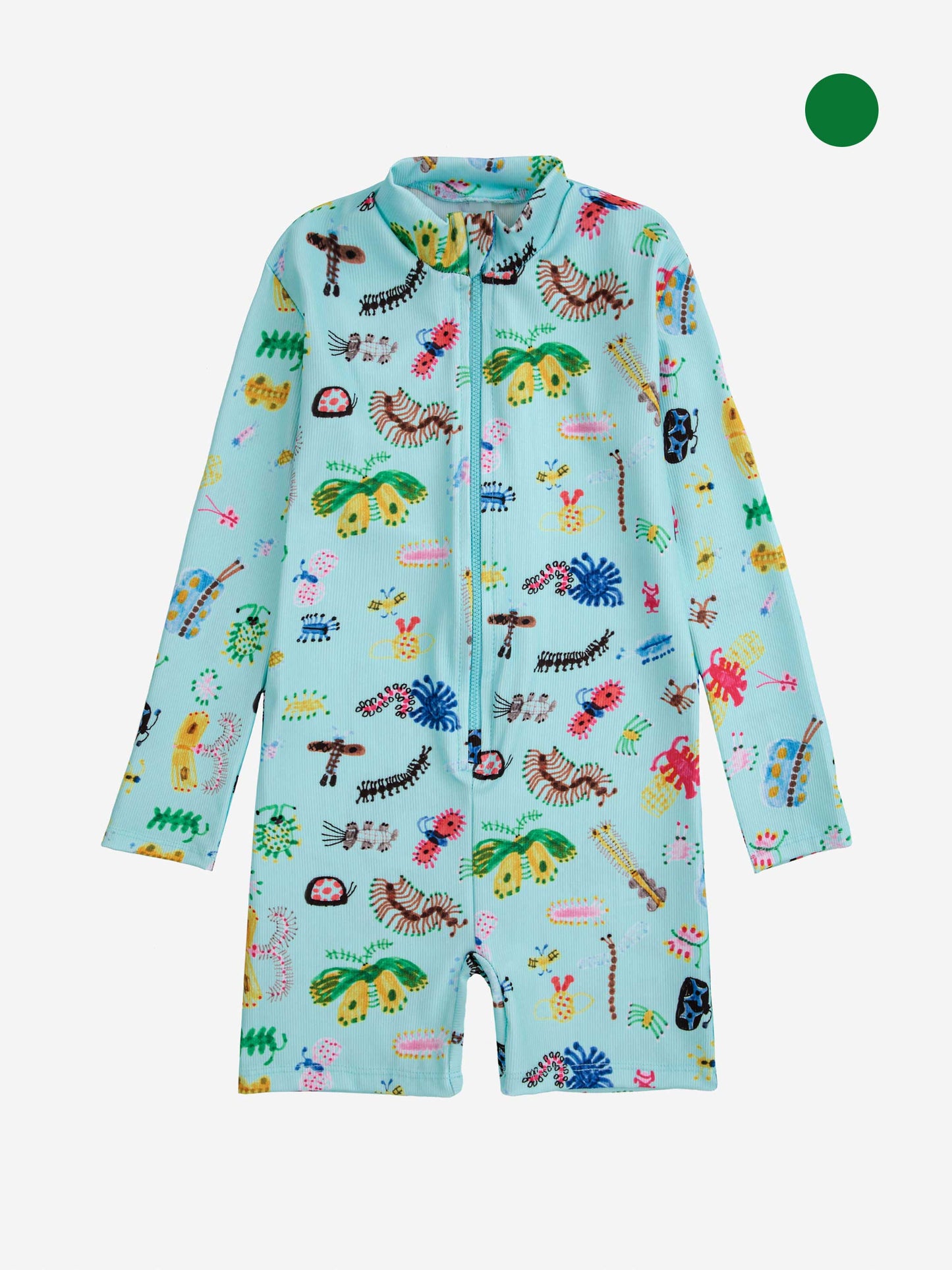 面白い昆虫が泳ぎ回る